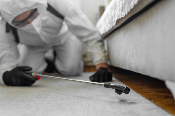Professional Cockroach Control technician working in Val Verde, CA